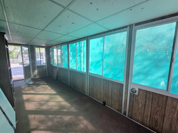 a view of a forest with trees in the background