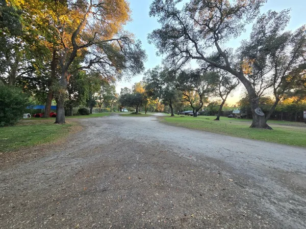 a view of a grassy field with trees around