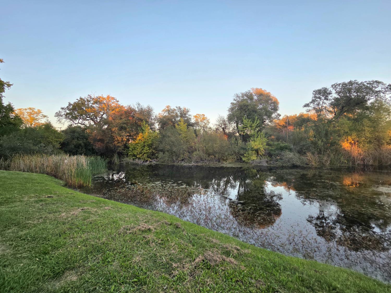 5200 Cavitt Stallman Road, Unit 35 Granite Bay, CA 95746 - Photo 28 of 31 a backyard of a house with lots of green space and lake view