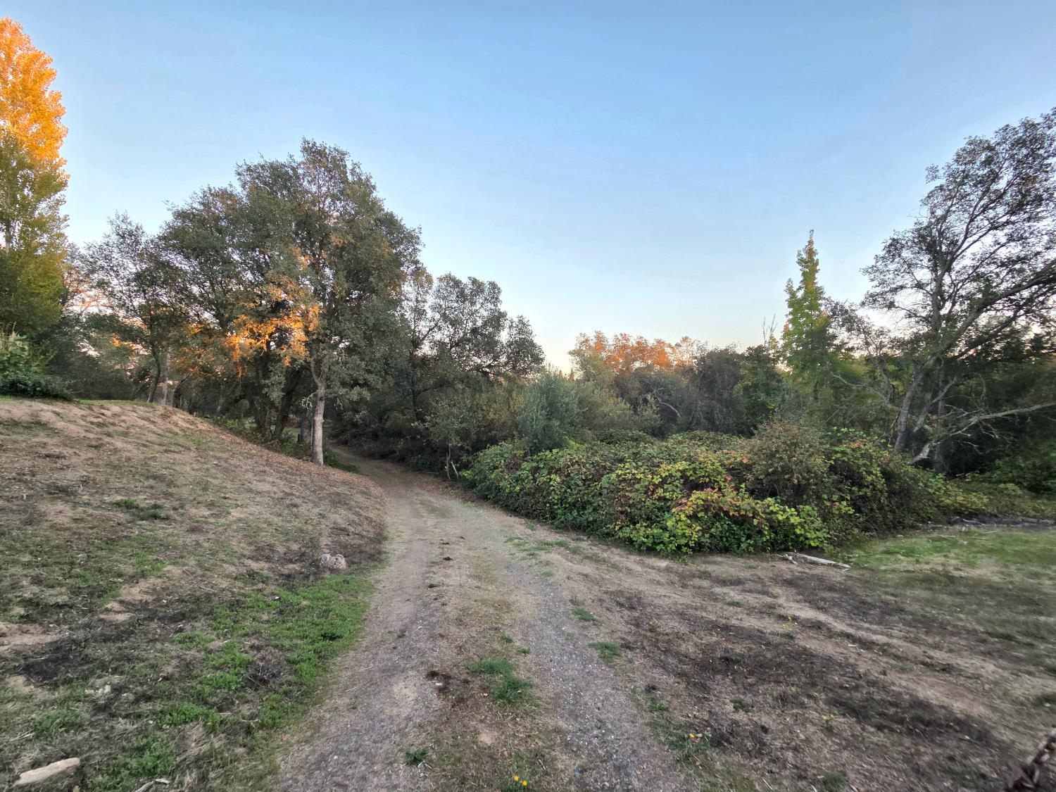 5200 Cavitt Stallman Road, Unit 35 Granite Bay, CA 95746 - Photo 31 of 31 a view of a forest with trees in the background
