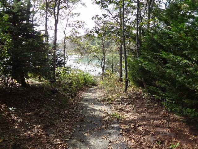 61 Clamshell Cove Road Cotuit, MA 02635 - Photo 11 of 12 a big yard with lots of green space