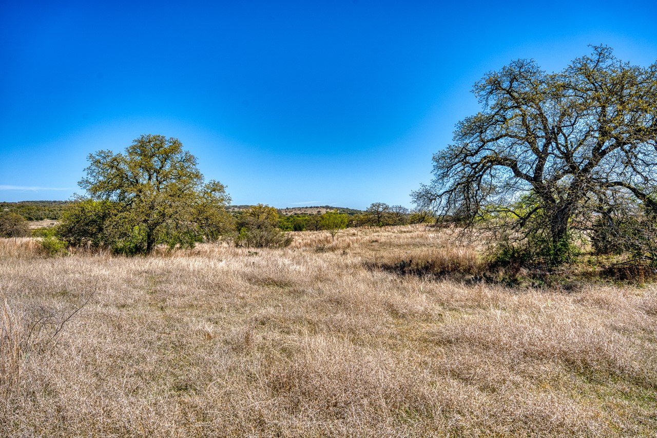 Tbd Tbd Smith West Road Johnson City, TX 78636 - Photo 23 of 36 View of local wilderness featuring rural landscape