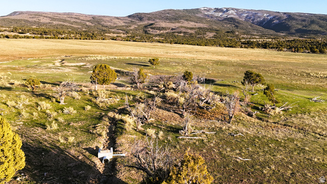 123 Tbd Forest Service Rd 640a (s Salina, UT 84654 - Photo 28 of 69 Mountain view with rural landscape