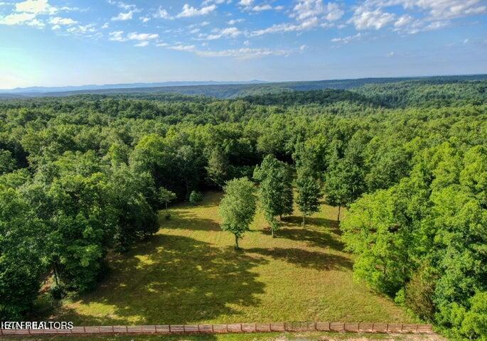 3490 Leatherwood Ford Road Jamestown, TN 38556 - Photo 2 of 3 2