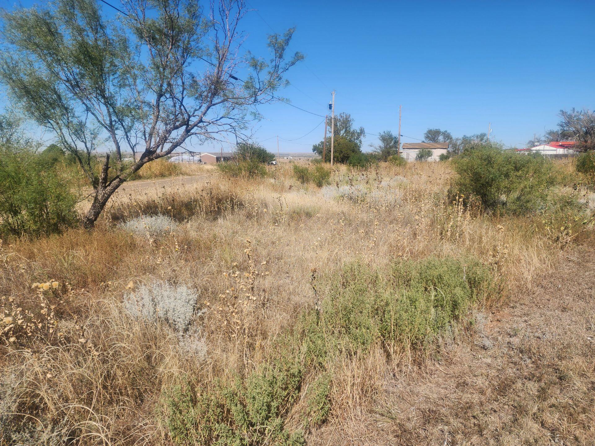 Todd Street Fritch, TX 79036 - Photo 5 of 7 Attachment
