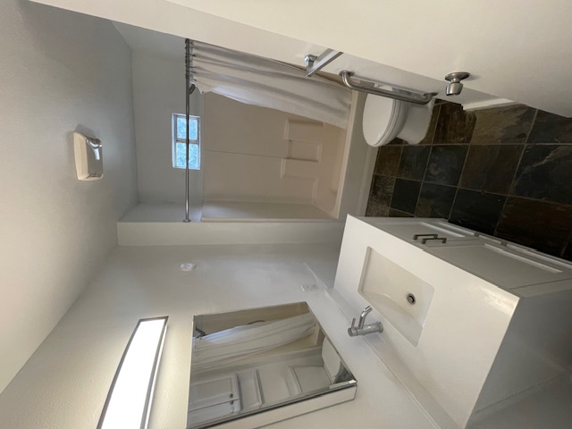 1105 1/2 Tillery Street Austin, TX 78702 - Photo 4 of 19 a bathroom with a sink mirror vanity and toilet