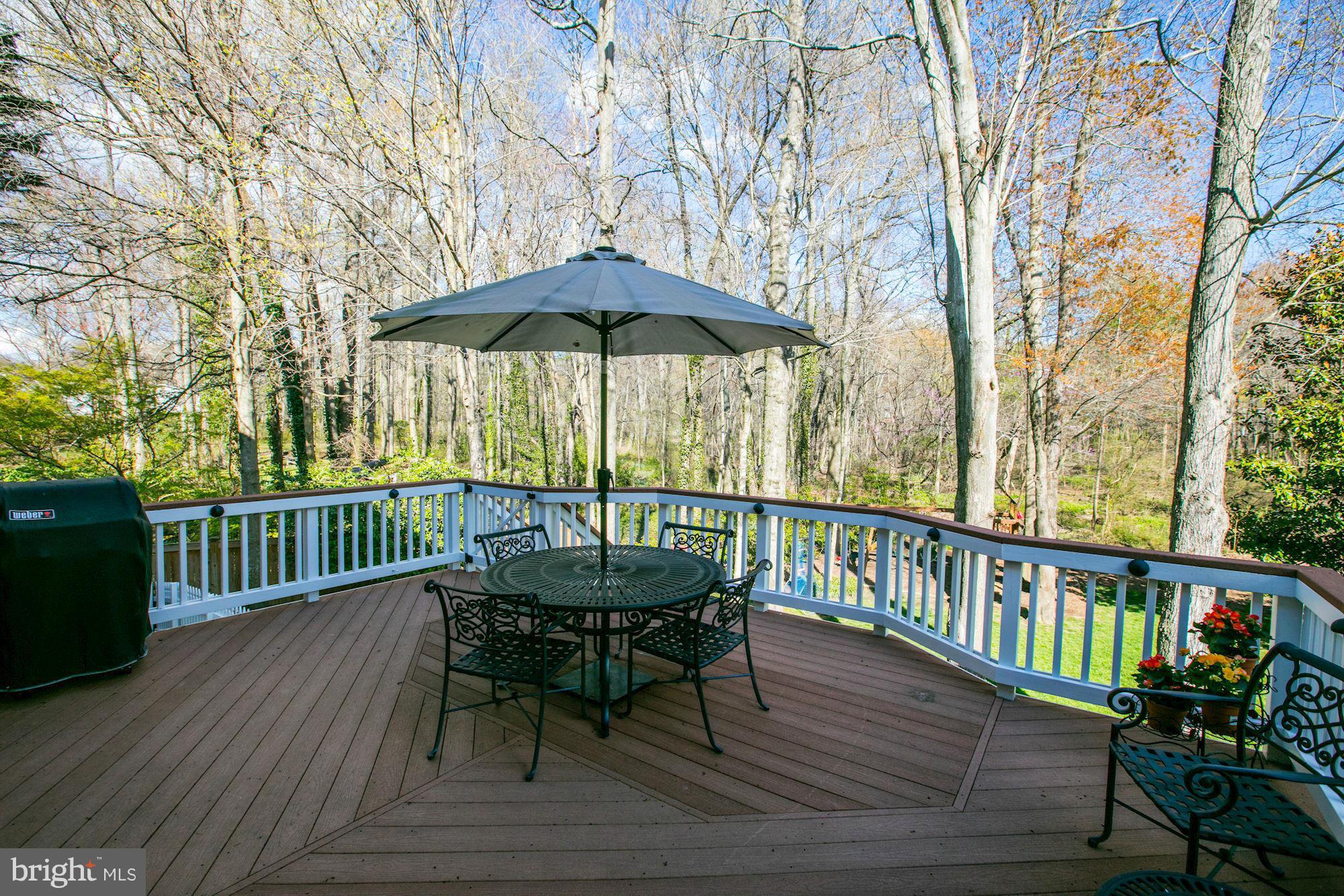 8819 Gateshead Road Alexandria, VA 22309 - Photo 29 of 30 Exterior (Rear)