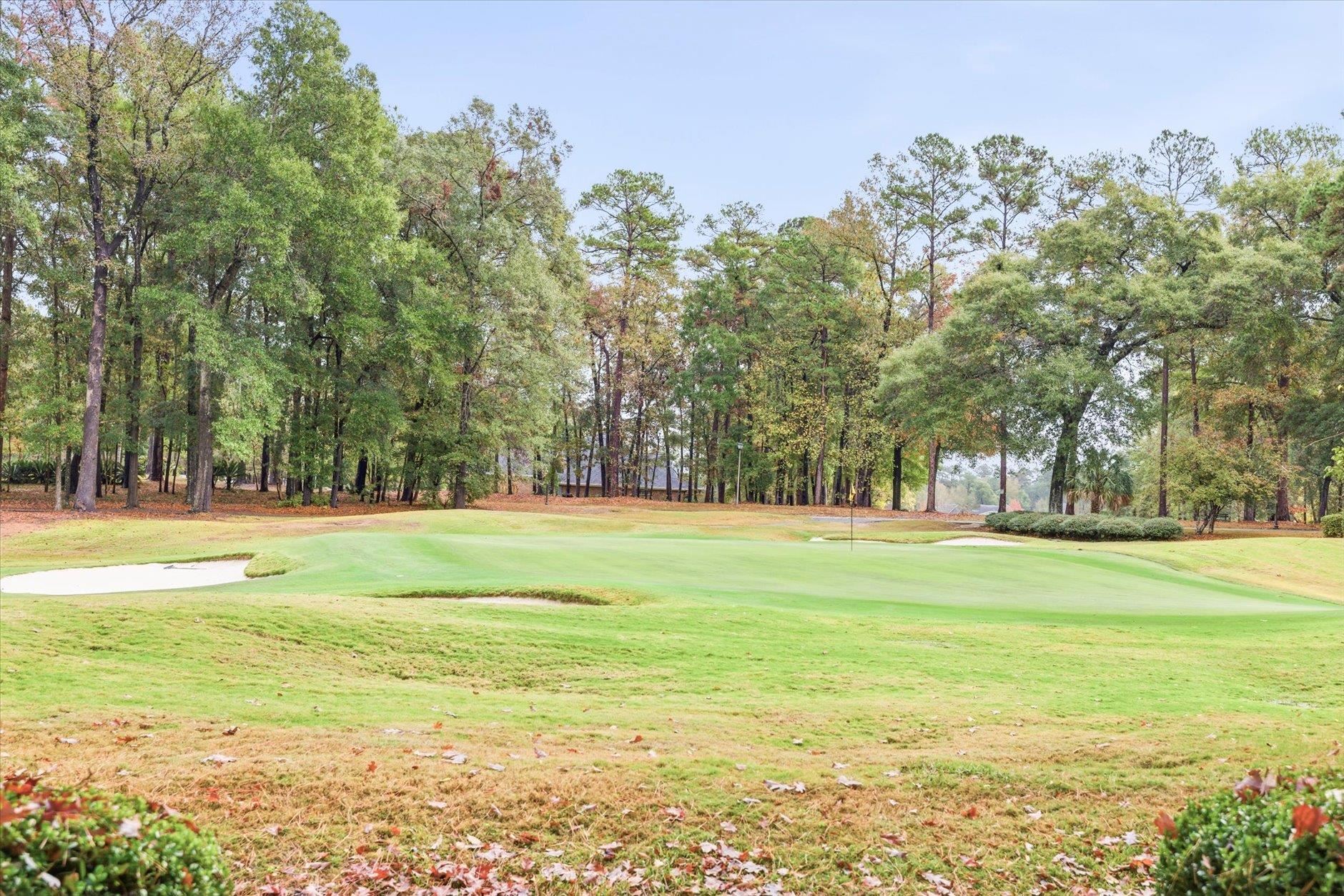 8973 Eagles Ridge Drive Tallahassee, FL 32312 - Photo 31 of 62