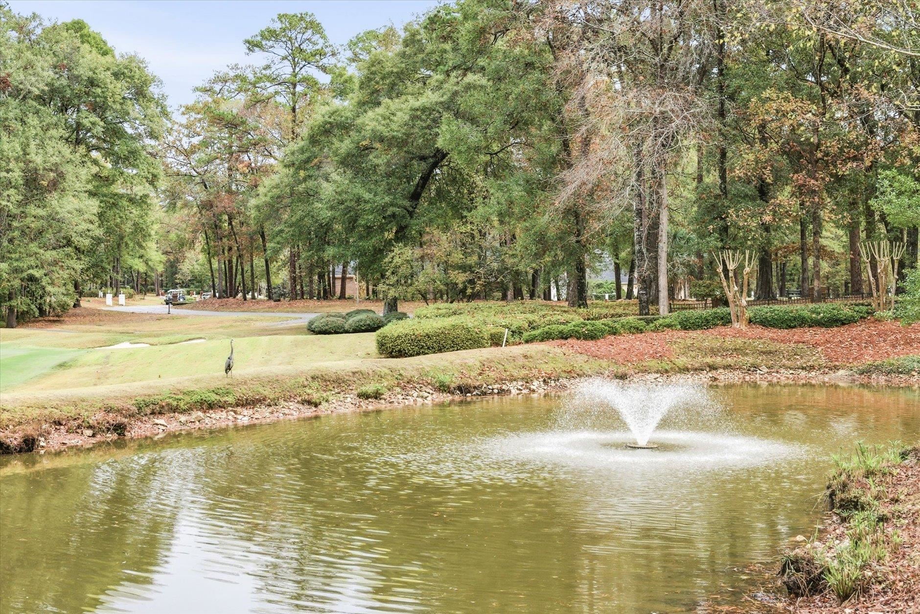 8973 Eagles Ridge Drive Tallahassee, FL 32312 - Photo 35 of 62