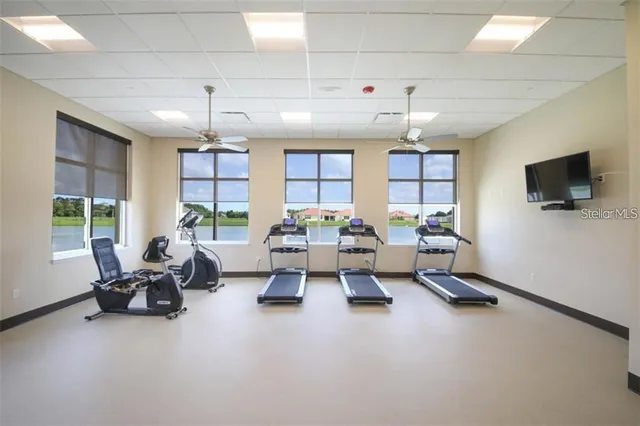 a living room with furniture window and a flat screen tv