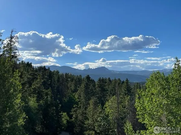 a sunset view with lot of trees