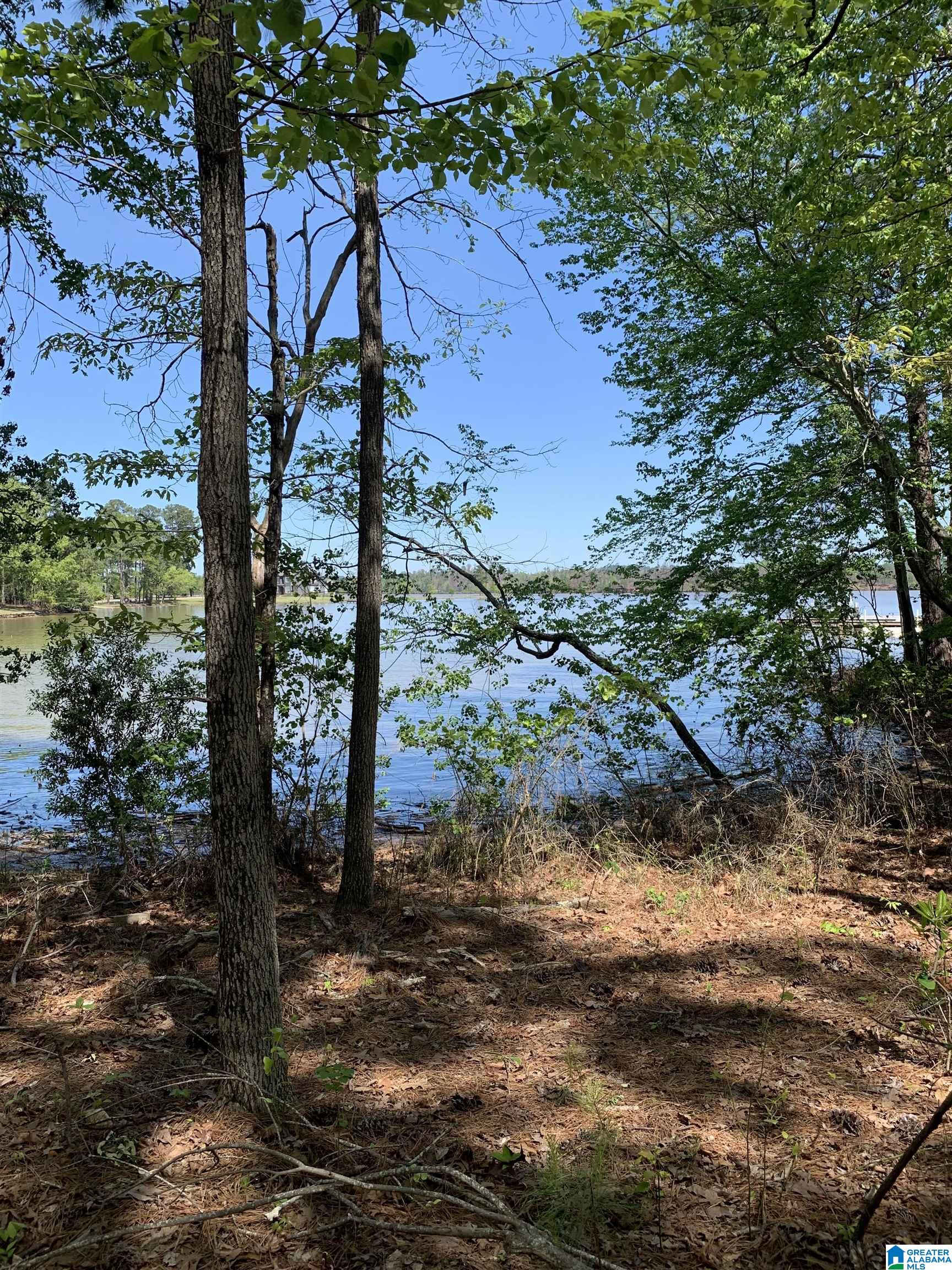 Windy Way, Unit 49 Alexander City, AL 35010 - Photo 2 of 17