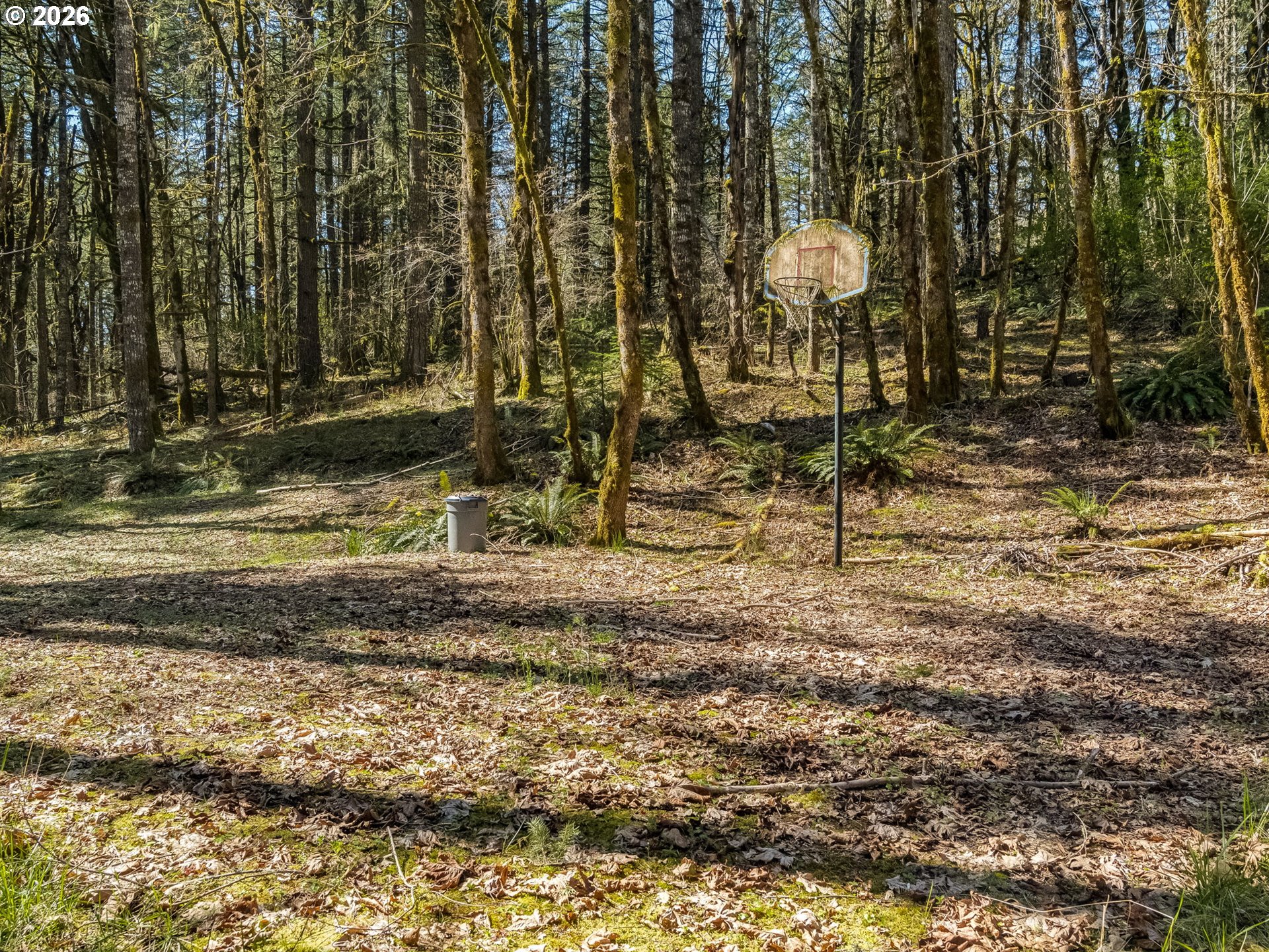 19037 Northwest Meadowlake Road Yamhill, OR 97148 - Photo 39 of 48 Sport Court