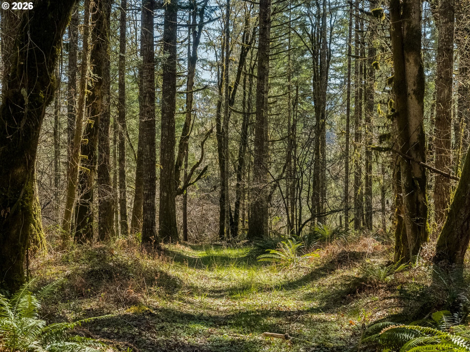 19037 Northwest Meadowlake Road Yamhill, OR 97148 - Photo 4 of 48