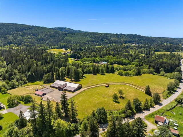 a view of a garden with a tree