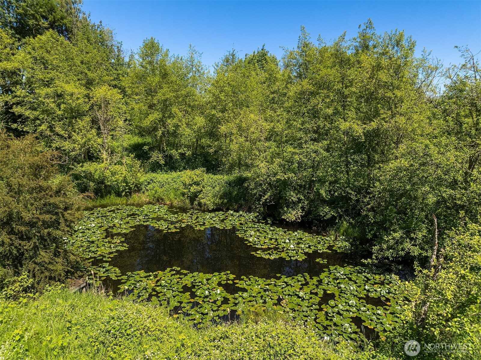 31405 Redmond-Fall City Road Southeast Fall City, WA 98024 - Photo 30 of 32 a view of a garden with a tree
