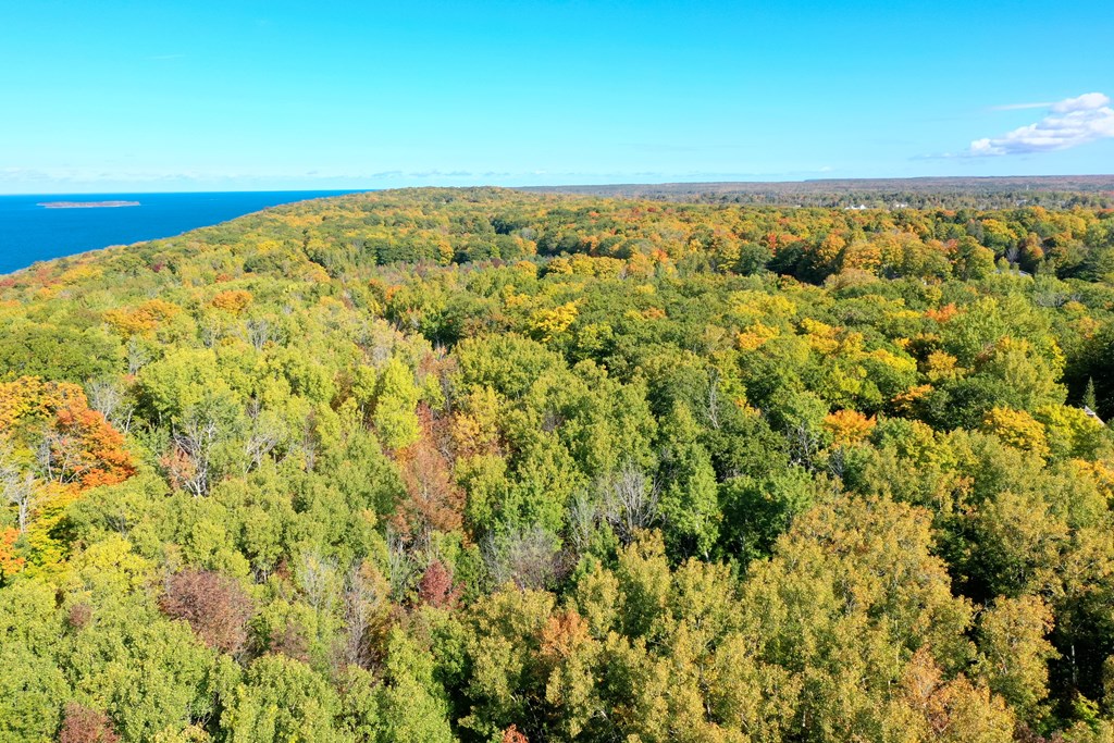 Bluff Road Fish Creek, WI 54212 - Photo 5 of 8