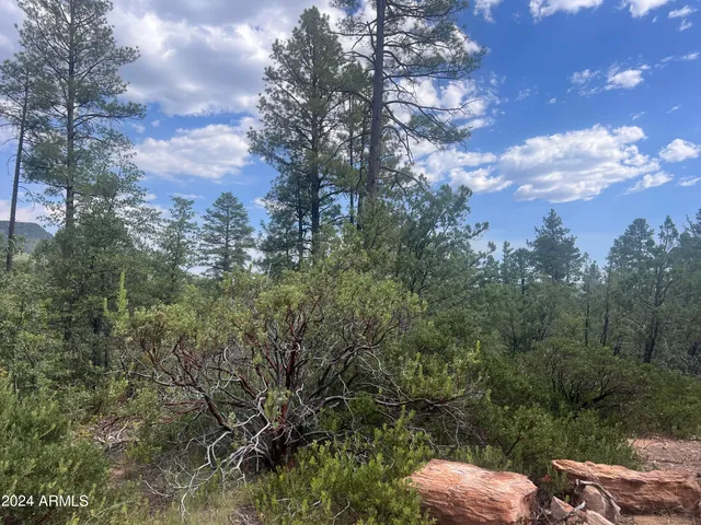 $195,000 | 0 North Mistletoe Drive, Pine, AZ 85544