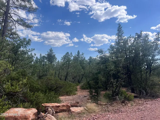 $195,000 | 0 North Mistletoe Drive, Pine, AZ 85544