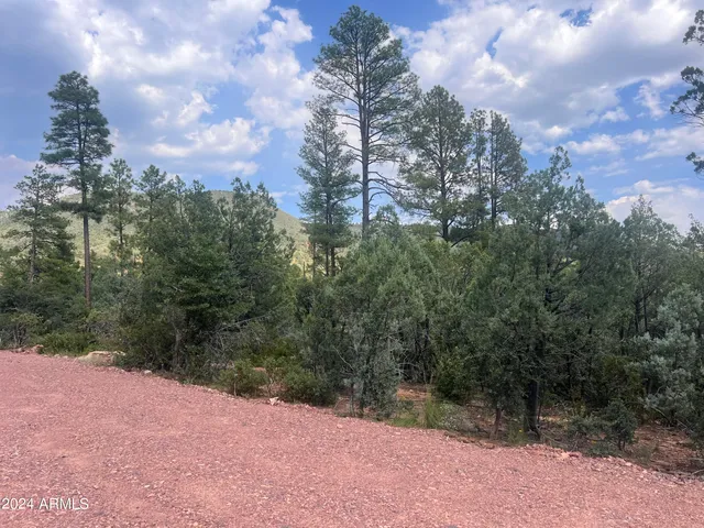 $195,000 | 0 North Mistletoe Drive, Pine, AZ 85544