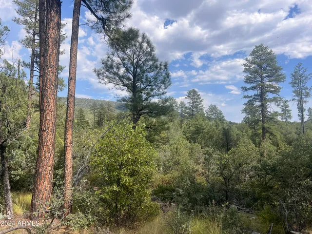 $195,000 | 0 North Mistletoe Drive, Pine, AZ 85544