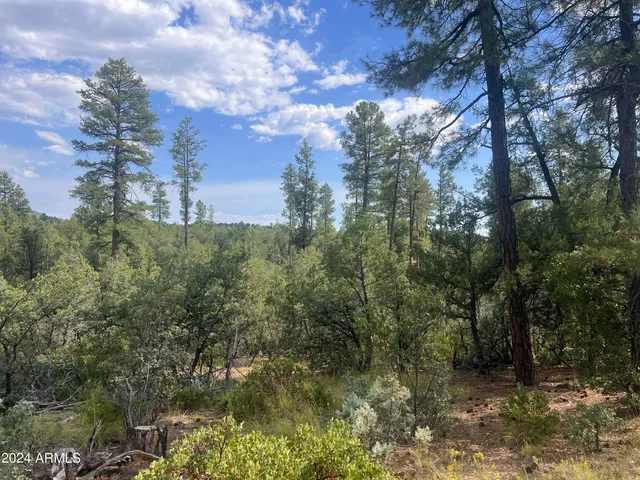 $195,000 | 0 North Mistletoe Drive, Pine, AZ 85544