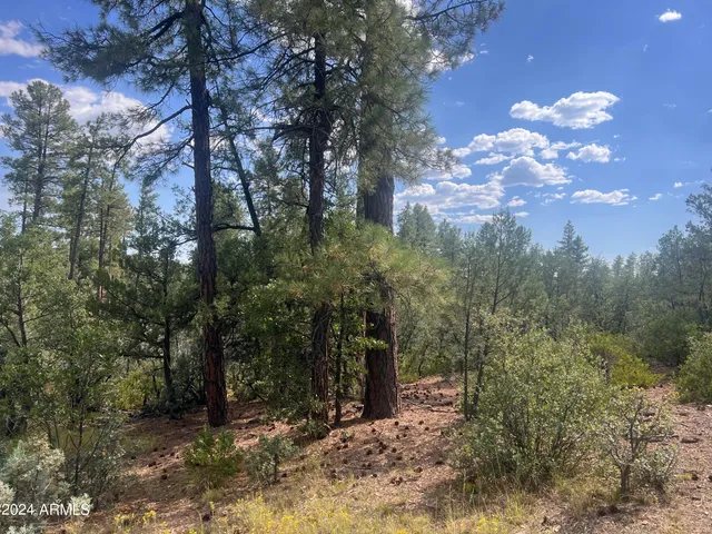 $195,000 | 0 North Mistletoe Drive, Pine, AZ 85544