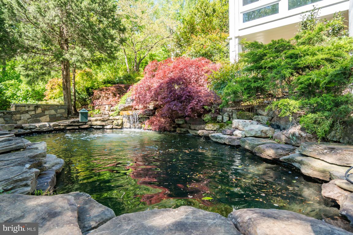This pond is ready for koi if you like