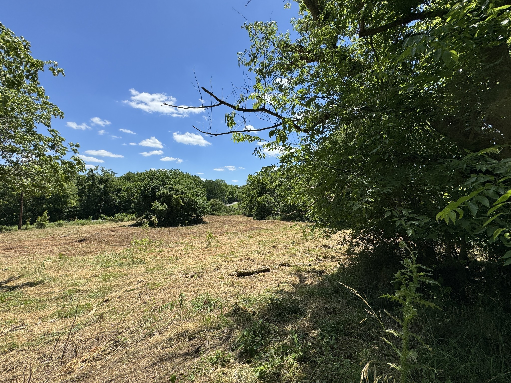 2342 Valley Creek Road Culleoka, TN 38451 - Photo 13 of 24 a view of a lake view