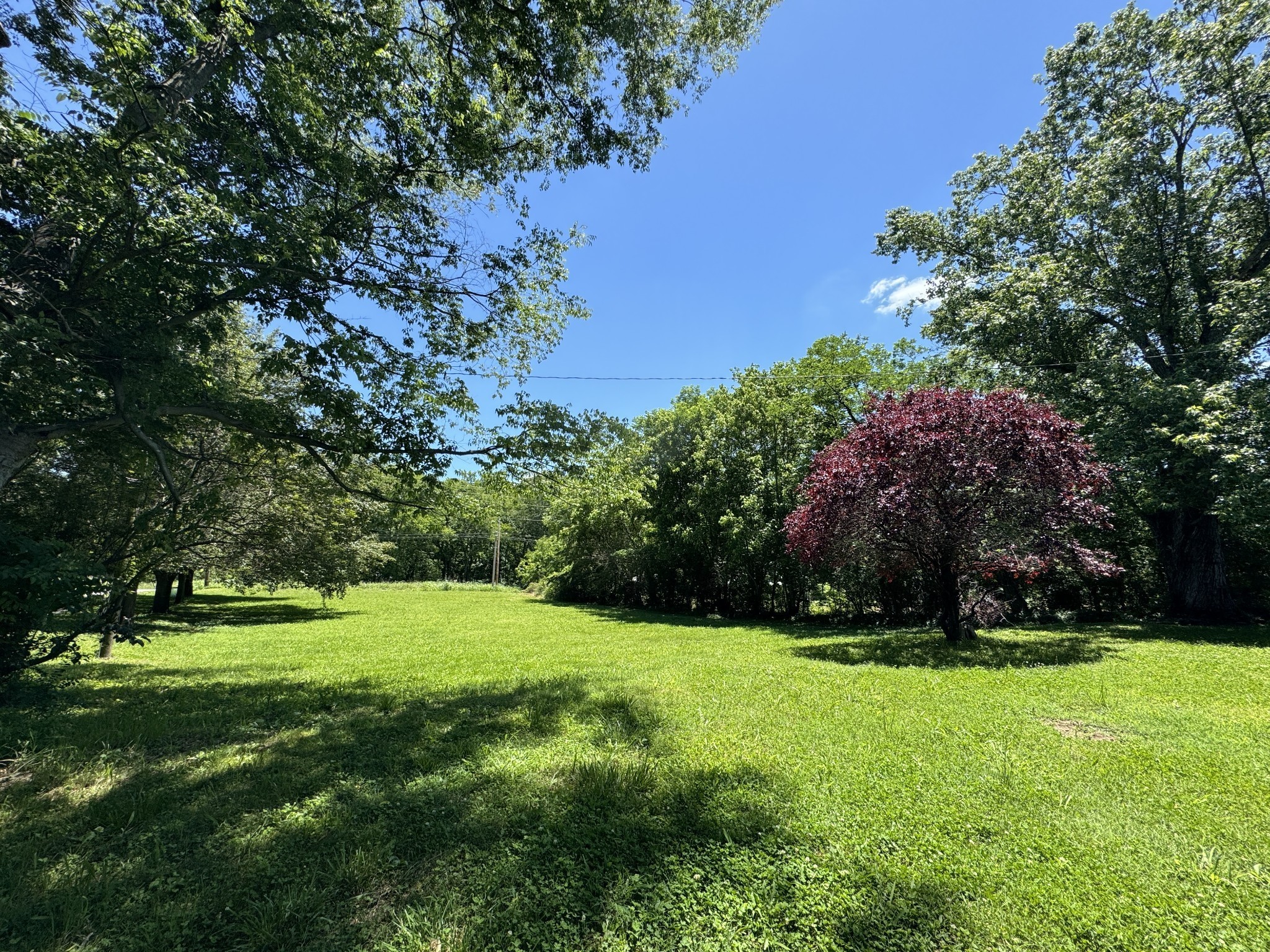 2342 Valley Creek Road Culleoka, TN 38451 - Photo 16 of 24 a view of green field with trees in the background