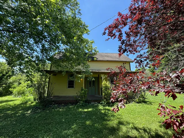 a view of a back yard