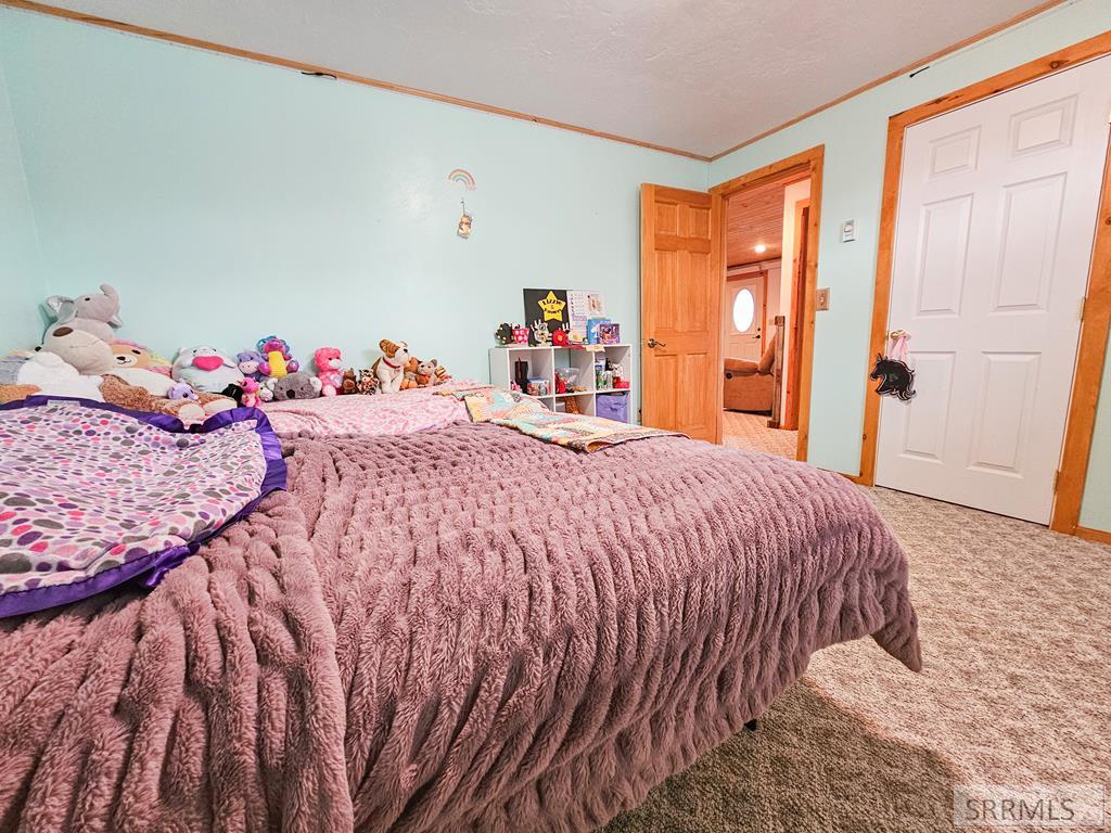 3258 North 3350 West Moore, ID 83255 - Photo 32 of 53