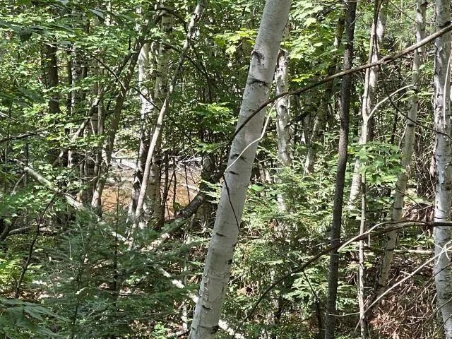 $82,000 | M7-l28 Stowe Mountain Road, Hillsborough, NH 03244