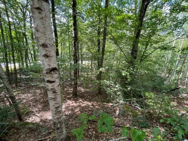 $82,000 | M7-l28 Stowe Mountain Road, Hillsborough, NH 03244
