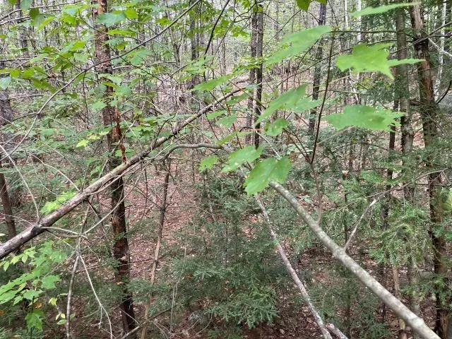 $82,000 | M7-l28 Stowe Mountain Road, Hillsborough, NH 03244