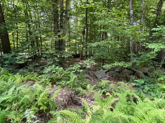 $82,000 | M7-l28 Stowe Mountain Road, Hillsborough, NH 03244