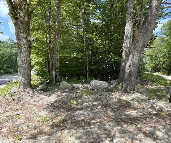 $82,000 | M7-l28 Stowe Mountain Road, Hillsborough, NH 03244