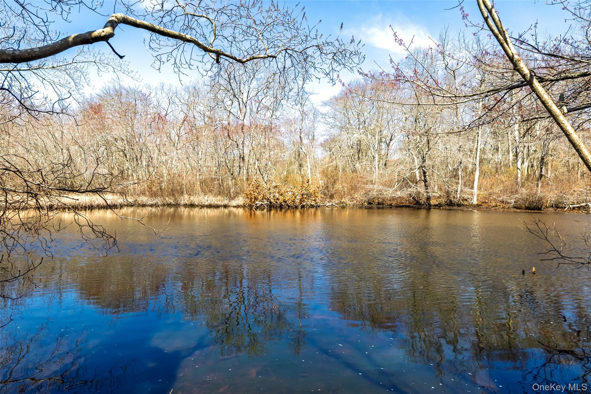371 South River Road Calverton, NY 11933 - Photo 39 of 43 Water view