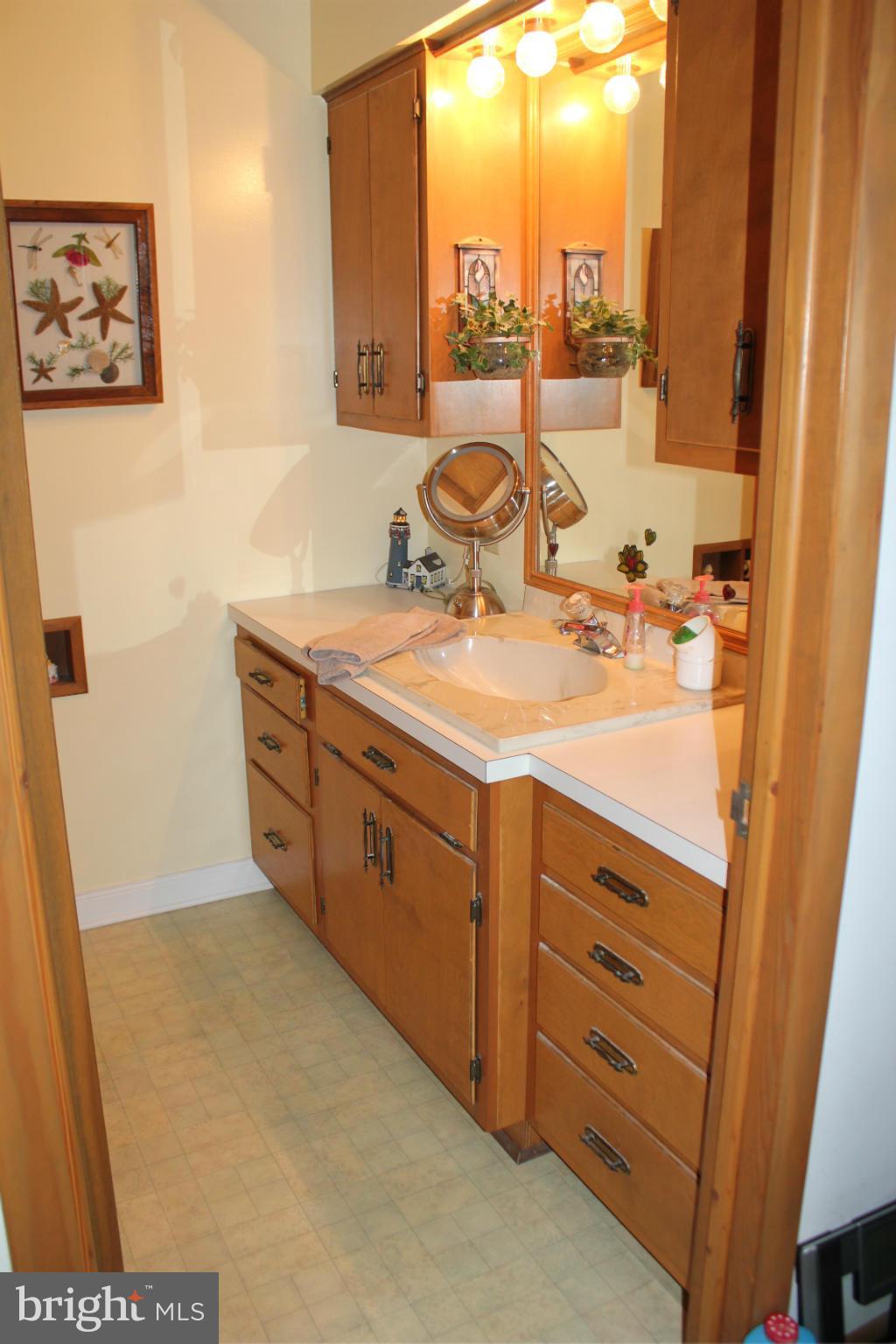 10813 Greensboro Road Denton, MD 21629 - Photo 18 of 30 Bath