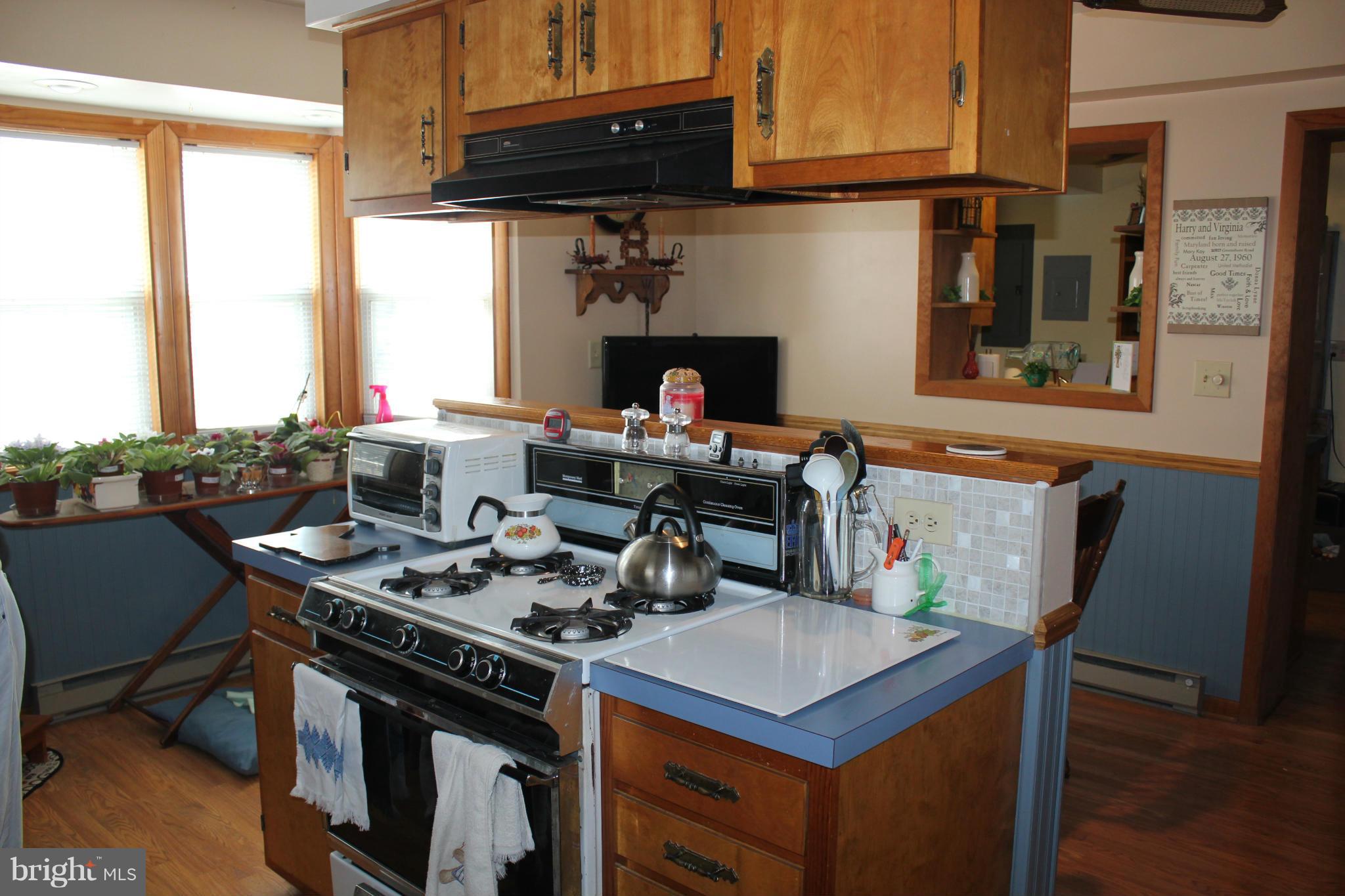 10813 Greensboro Road Denton, MD 21629 - Photo 10 of 30 Kitchen