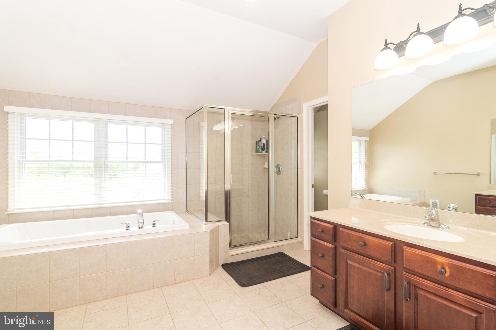 3955 Lower Mountain Road New Hope, PA 18938 - Photo 58 of 76 Master Bath