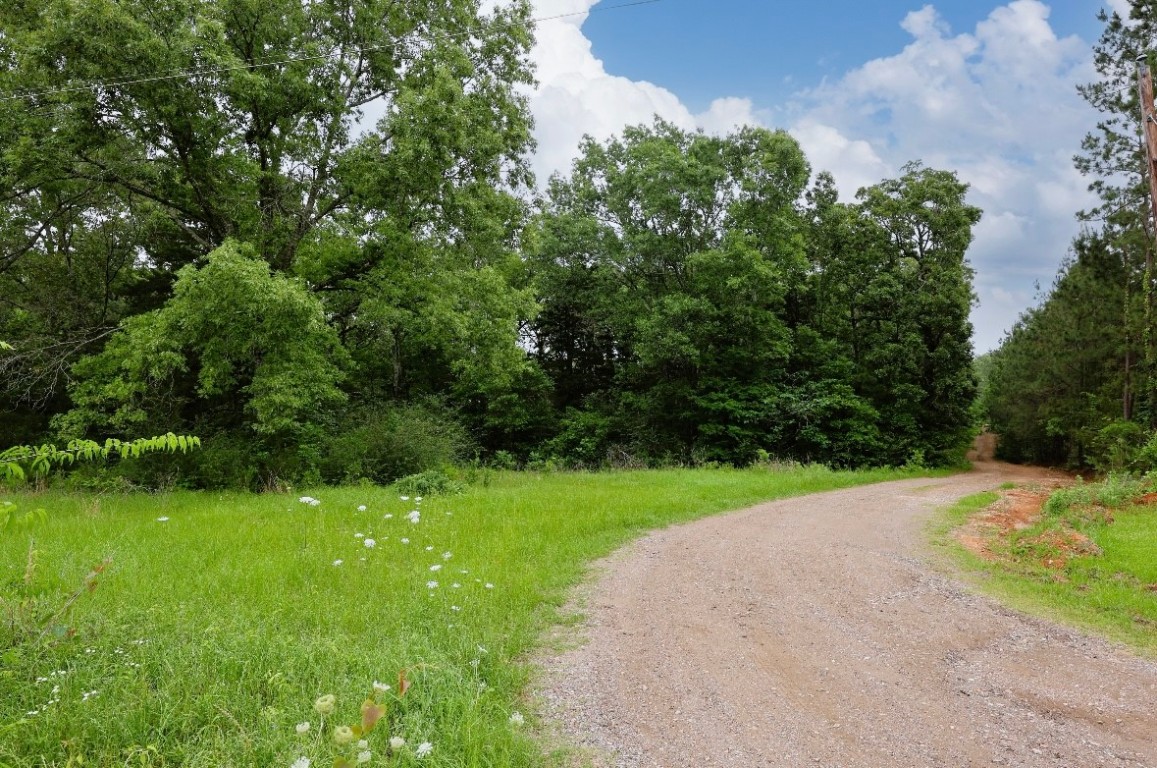 344 Attaberry Road Lufkin, TX 75901 - Photo 2 of 32