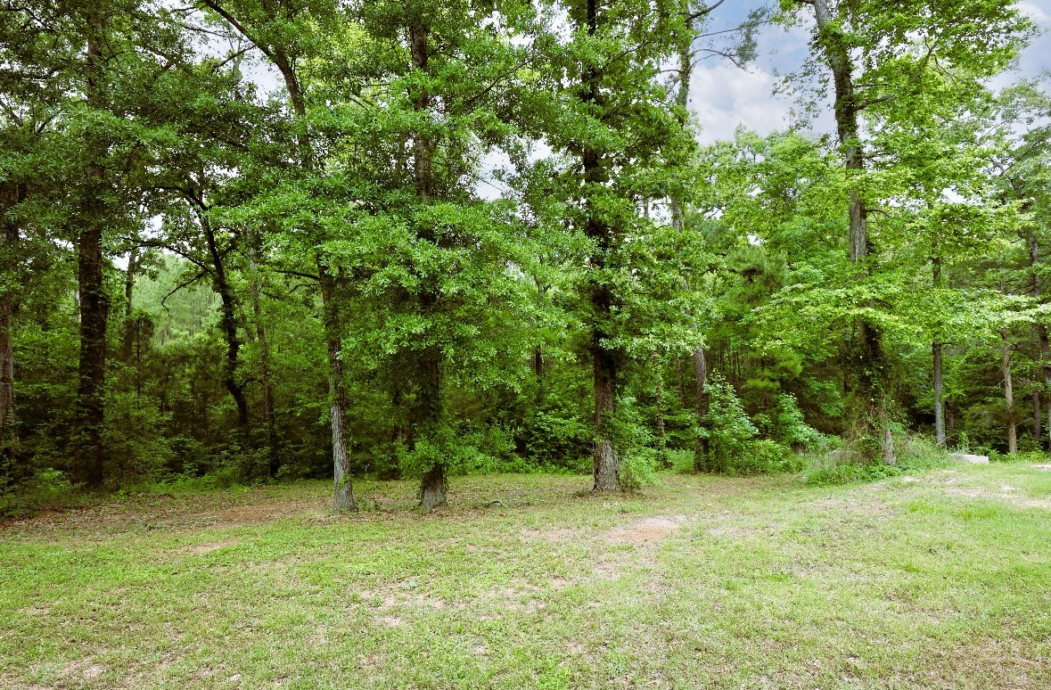 344 Attaberry Road Lufkin, TX 75901 - Photo 31 of 32