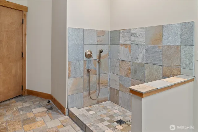 a bathroom with a shower
