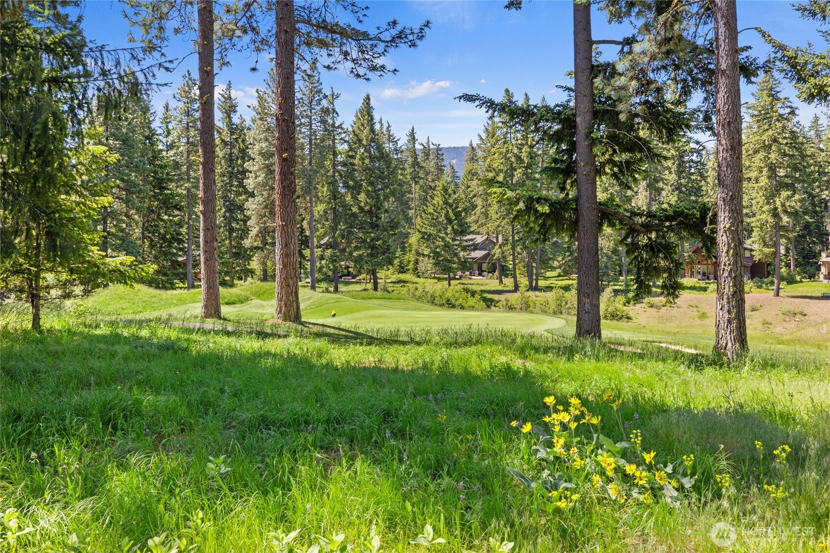 1531 Larkspur Loop Cle Elum, WA 98922 - Photo 34 of 36 a view of park