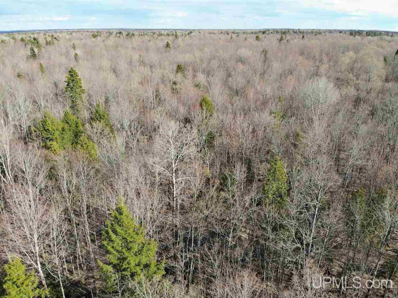 109 Orange Road, Unit 109 Michigamme, MI 49861 - Photo 8 of 13