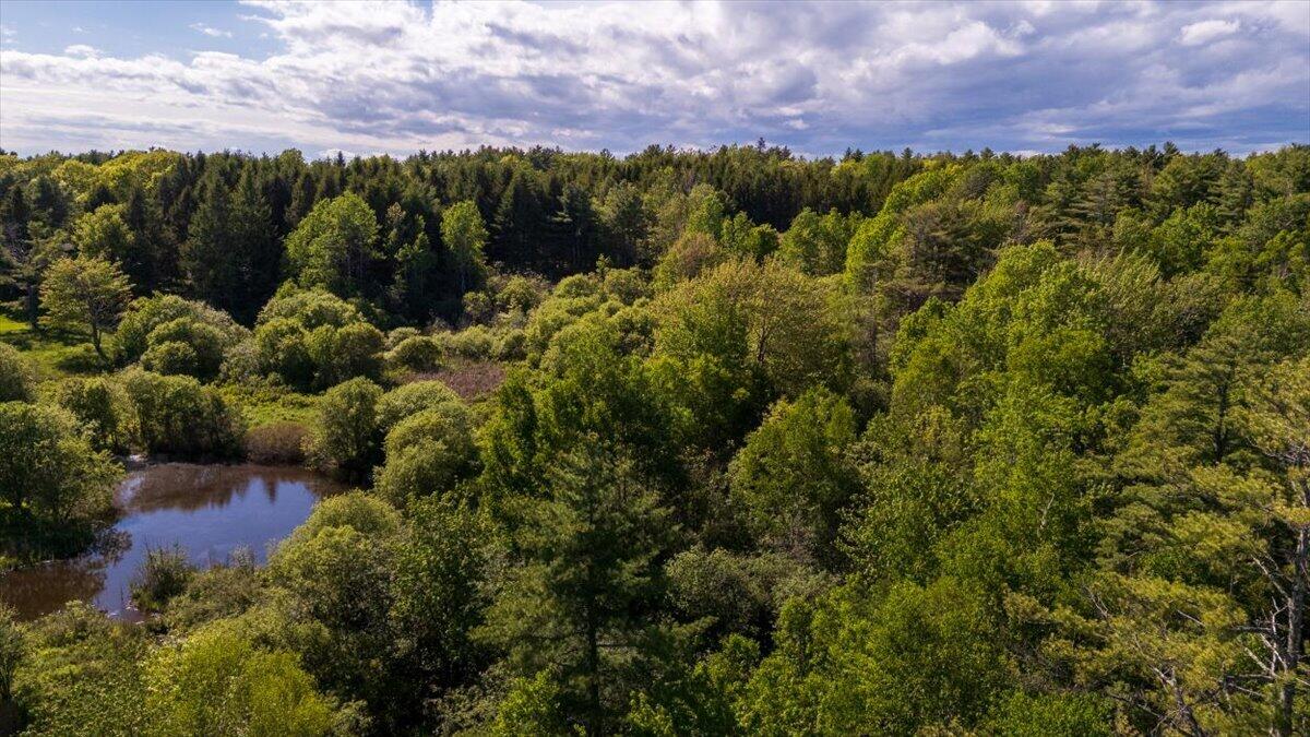 20 Map Street South Thomaston, ME 04858 - Photo 1 of 17 02-Iron tree-2