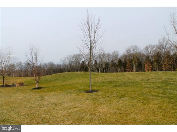 421 Hoffman Road Harleysville, PA 19438 - Photo 24 of 25 View in Back