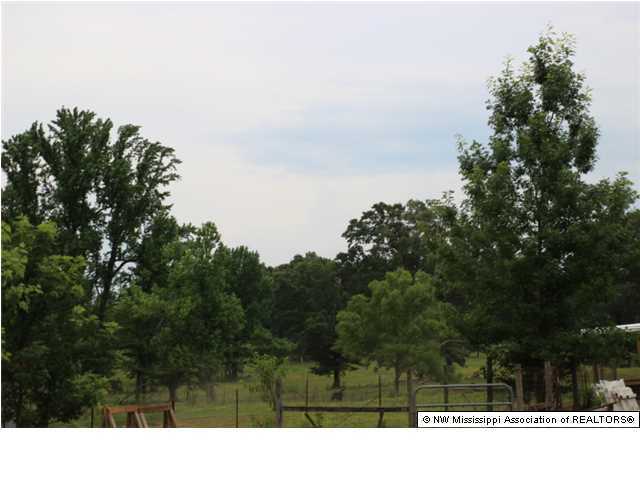 1190 Independence Road Coldwater, MS 38618 - Photo 6 of 20 Additional Photo