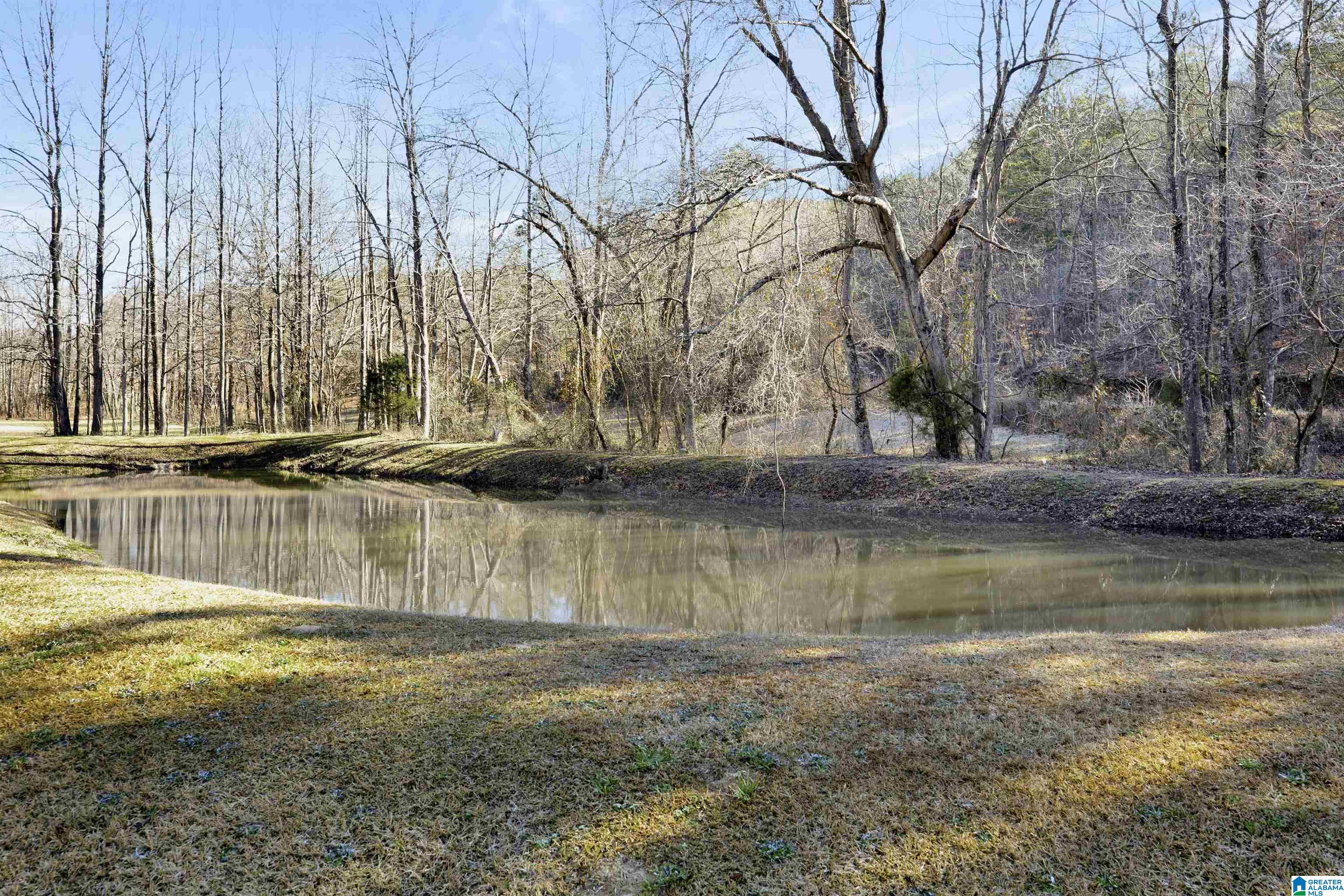 4580 Tucker Mountain Road Remlap, AL 35133 - Photo 6 of 40